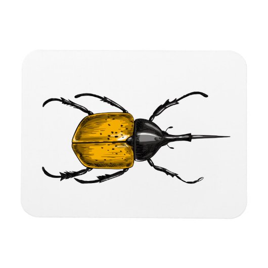 Käfer Magnet (Horizontal)