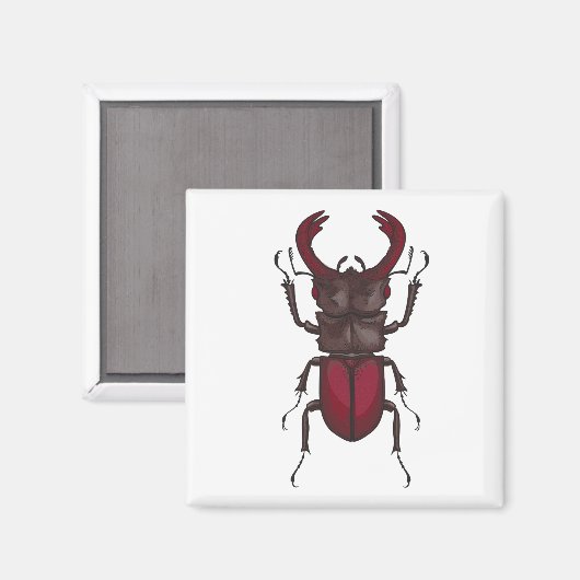 Käfer Magnet (Vorderseite/Rückseite)