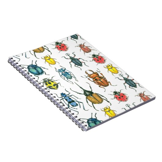 Käfer Notizblock (Rechte Seite)