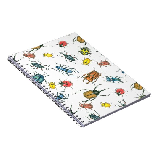 Käfer Notizblock (Rechte Seite)