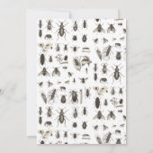Käfer- oder Insekten-Themen-Geburtstagsfeier (Rückseite)