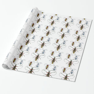 Käfer Papierverpackung Geschenkpapier