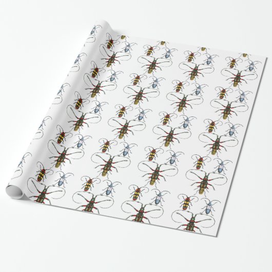 Käfer Papierverpackung Geschenkpapier (Ungerollt)