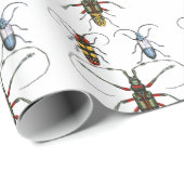 Käfer Papierverpackung Geschenkpapier (Rolleneckpunkt)
