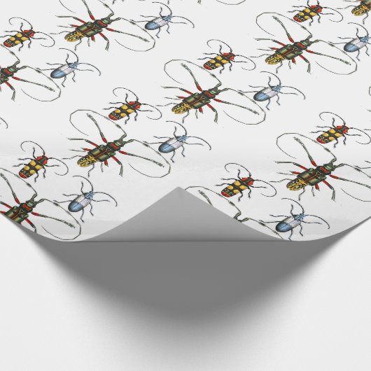 Käfer-Papierwrap Geschenkpapier (Ecke)