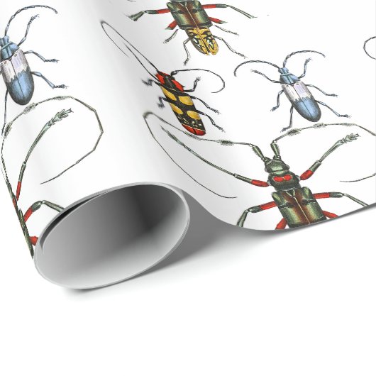 Käfer-Papierwrap Geschenkpapier (Rolleneckpunkt)