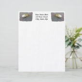 Käfer (Pelidnota punctata) Briefkopf (Stehend Vorderseite)