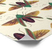 Käfer Poster (Ecke)