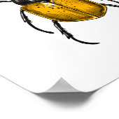 Käfer Poster (Ecke)