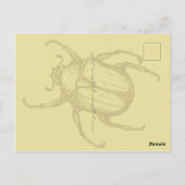 Käfer Postkarte (Rückseite)