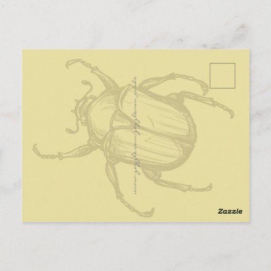 Käfer Postkarte (Rückseite)