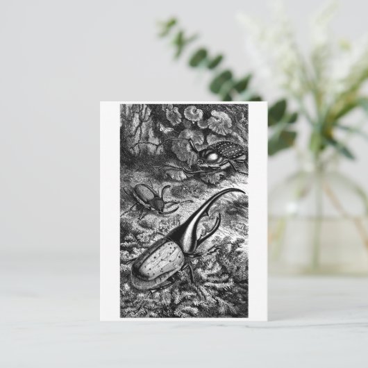 Käfer Postkarte (Stehend Vorderseite)