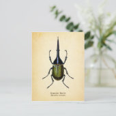 Käfer-Postkarte Postkarte (Stehend Vorderseite)
