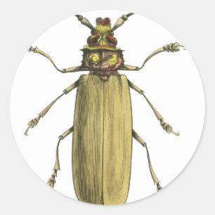 Käfer, Prionus Corticinus Runder Aufkleber