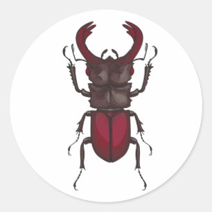 Käfer Runder Aufkleber