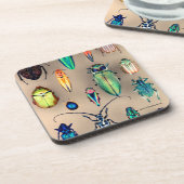 Käfer-Sammlung Getränkeuntersetzer (Linke Seite)