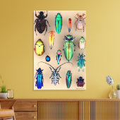 Käfer-Sammlung Leinwanddruck (Insitu (Wohnzimmer))