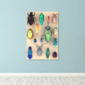 Käfer-Sammlung Leinwanddruck (Insitu (Holzboden))