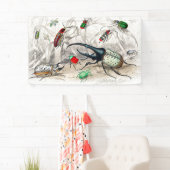 Käfer, Scarabaeus Tityus, gestreift Banner (Insitu)