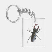 Käfer Schlüsselanhänger (Vorderseite links)