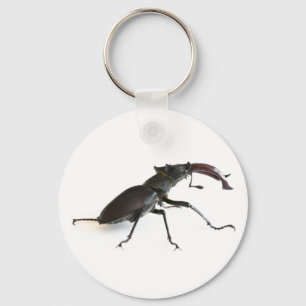 Käfer Schlüsselanhänger