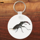 Käfer Schlüsselanhänger (Vorderseite)