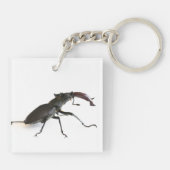 Käfer Schlüsselanhänger (Rückseite)