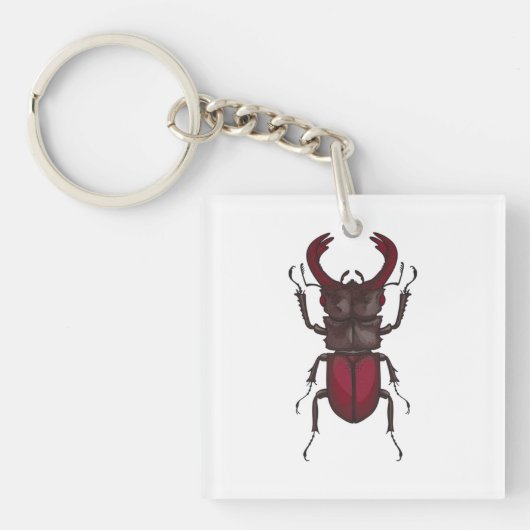 Käfer Schlüsselanhänger (Vorderseite)