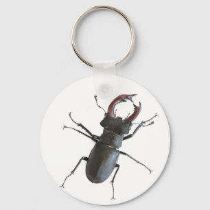 Käfer Schlüsselanhänger