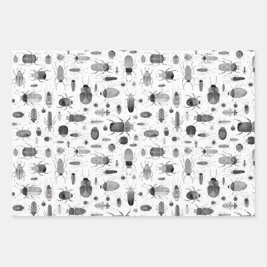 Käfer Schwarz & Weiß Geschenkpapier Set (Vorderseite 2)