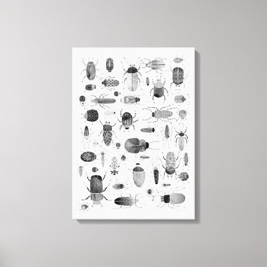 Käfer Schwarz & Weiß Leinwanddruck (Vorderseite)