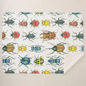 Käfer Sherpadecke (Vorderseite (Horizontal))