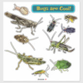 Käfer sind cool! Insekten Aufkleber (Blatt)