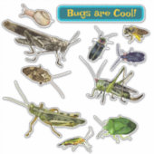 Käfer sind cool! Insekten Aufkleber (Vorderseite)