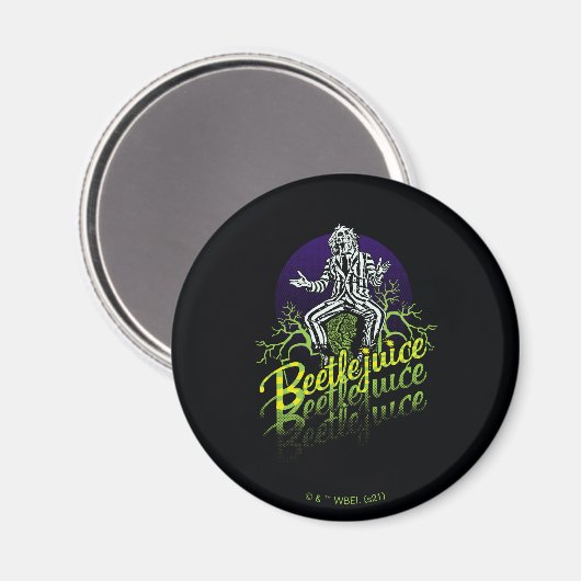 Käfer | Sitzen auf einem Grabstein Magnet (Vorderseite/Rückseite)