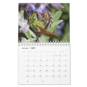 Käfer und Blumen Kalender (Jan 2027)