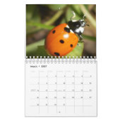 Käfer und Blumen Kalender (Mär 2027)