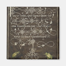 Käfer und Scarab von Mira Calligraphiae