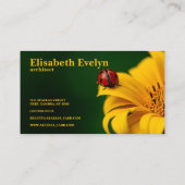 Käfer Visitenkarte (Rückseite)