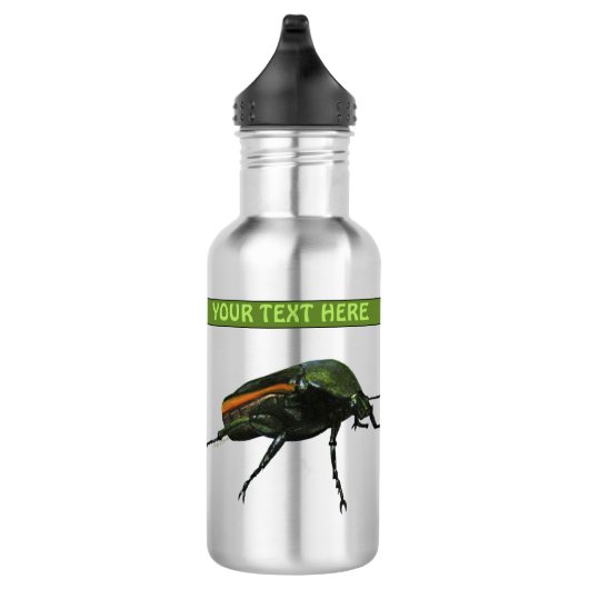 Käfer Wasser Flasche Edelstahlflasche (Rechts)