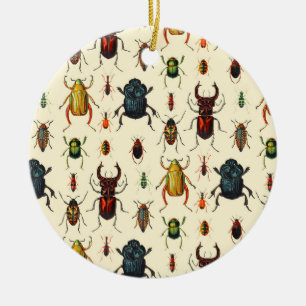 Käferarten Keramik Ornament