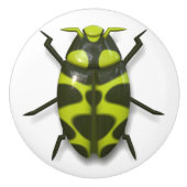 Käferinsekt niedlich-grünes Schwarz Keramikknauf (Vorderseite)