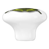 Käferinsekt niedlich-grünes Schwarz Keramikknauf (Seitenansicht)