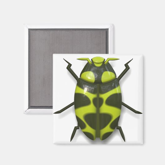 Käferinsekt niedlich magnet (Vorderseite/Rückseite)