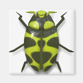 Käferinsekt niedlich magnet (Vorne)