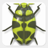 Käferinsekt niedlich quadratischer aufkleber (Vorderseite)