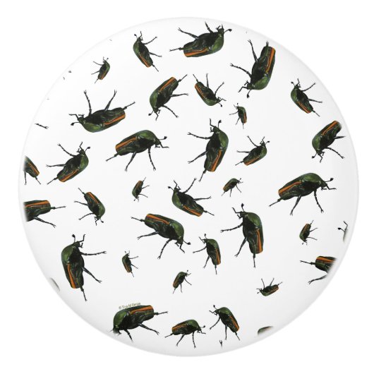 Käferknobs Keramikknauf (Vorderseite)