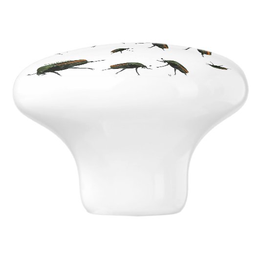 Käferknobs Keramikknauf (Seitenansicht)