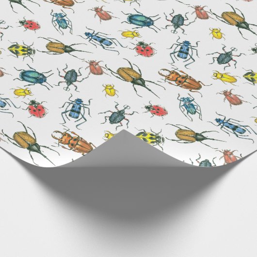 Käferpapier Geschenkpapier (Ecke)