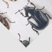 Käferpapier Seidenpapier (Detail)